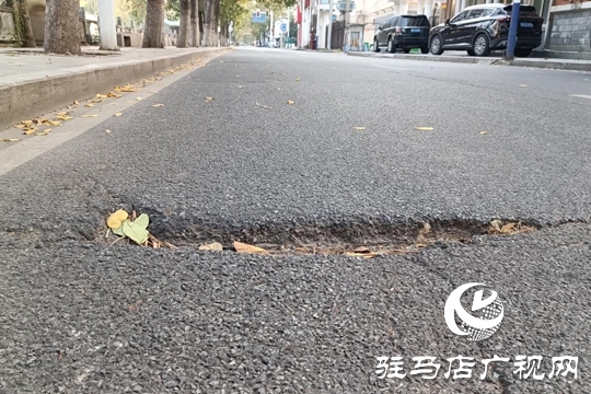 路面坑洼 路燈不亮！駿馬路出行安全隱患盼消除
