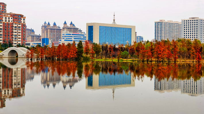 縣區(qū)動(dòng)態(tài)｜水杉披“紅裝” 晴光暖玉湖