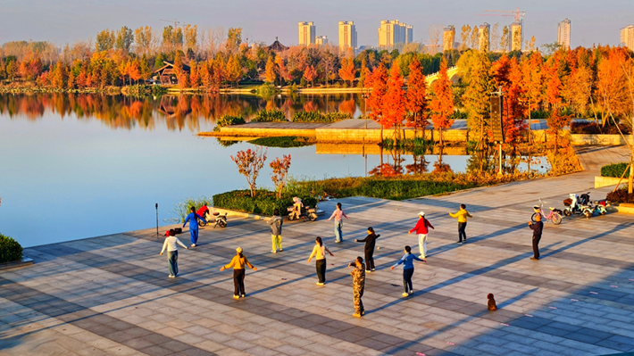 縣區(qū)動(dòng)態(tài)｜水杉披“紅裝” 晴光暖玉湖