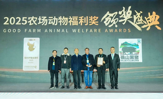 確山黑豬獲2025動(dòng)物福利養(yǎng)殖金豬獎(jiǎng)