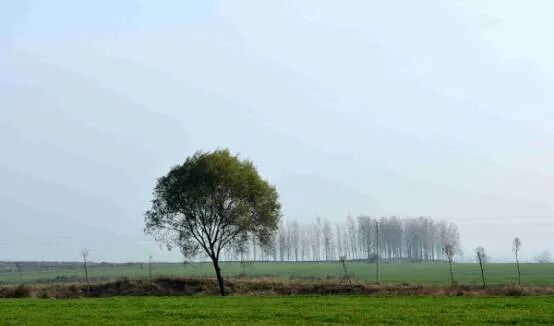 縣區(qū)動(dòng)態(tài) | 象河鄉(xiāng)有兩個(gè)寶藏游玩地，每一個(gè)都值得奔赴