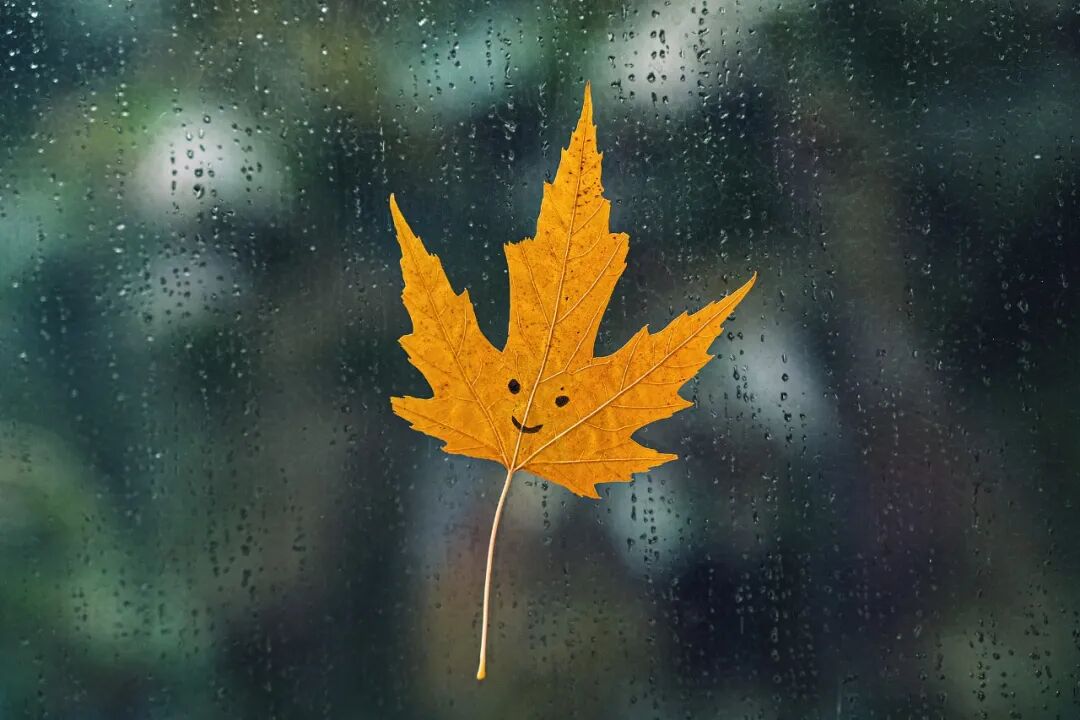 一降溫就傷感？小心“季節(jié)性情感障礙”！