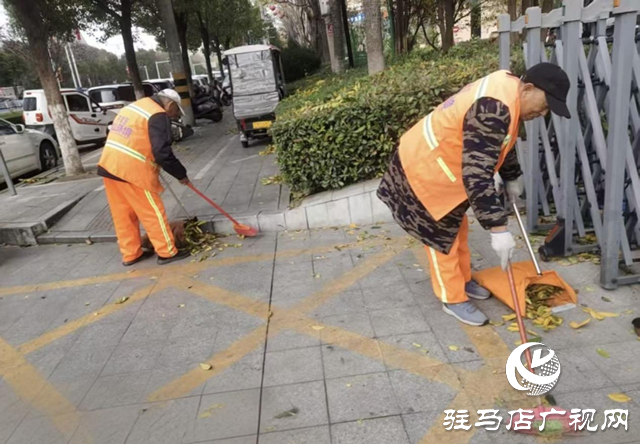 開發(fā)區(qū)城市管理事務(wù)中心積極應(yīng)對強風(fēng)天氣 全力保障城市平穩(wěn)運行