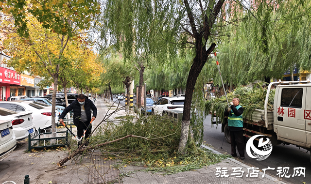 開發(fā)區(qū)城市管理事務(wù)中心積極應(yīng)對強風(fēng)天氣 全力保障城市平穩(wěn)運行