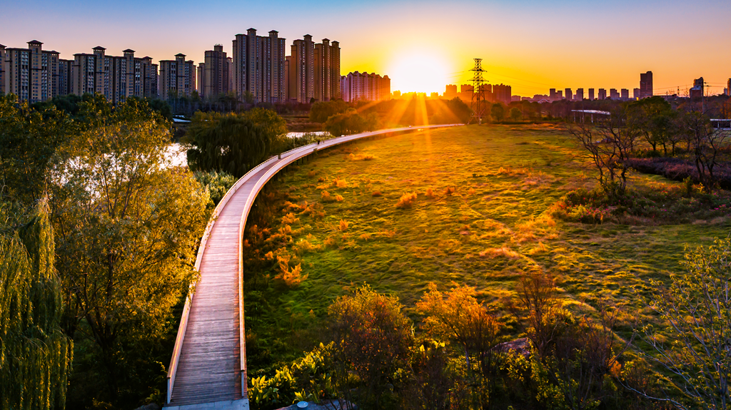 縣區(qū)動態(tài) | 月季迎冬開 繁花送香來