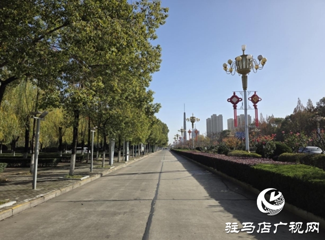 駐馬店:園林精心養(yǎng)護(hù)迎盛會(huì) 滿城綠意笑納八方客