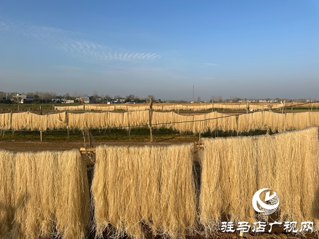 泌陽(yáng)縣郭集鎮(zhèn)：小粉條串起致富鏈 繪就鄉(xiāng)村振興新圖景