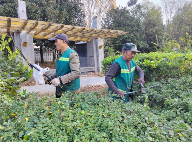 駐馬店：園林精心養(yǎng)護(hù)迎盛會 滿城綠意笑納八方客