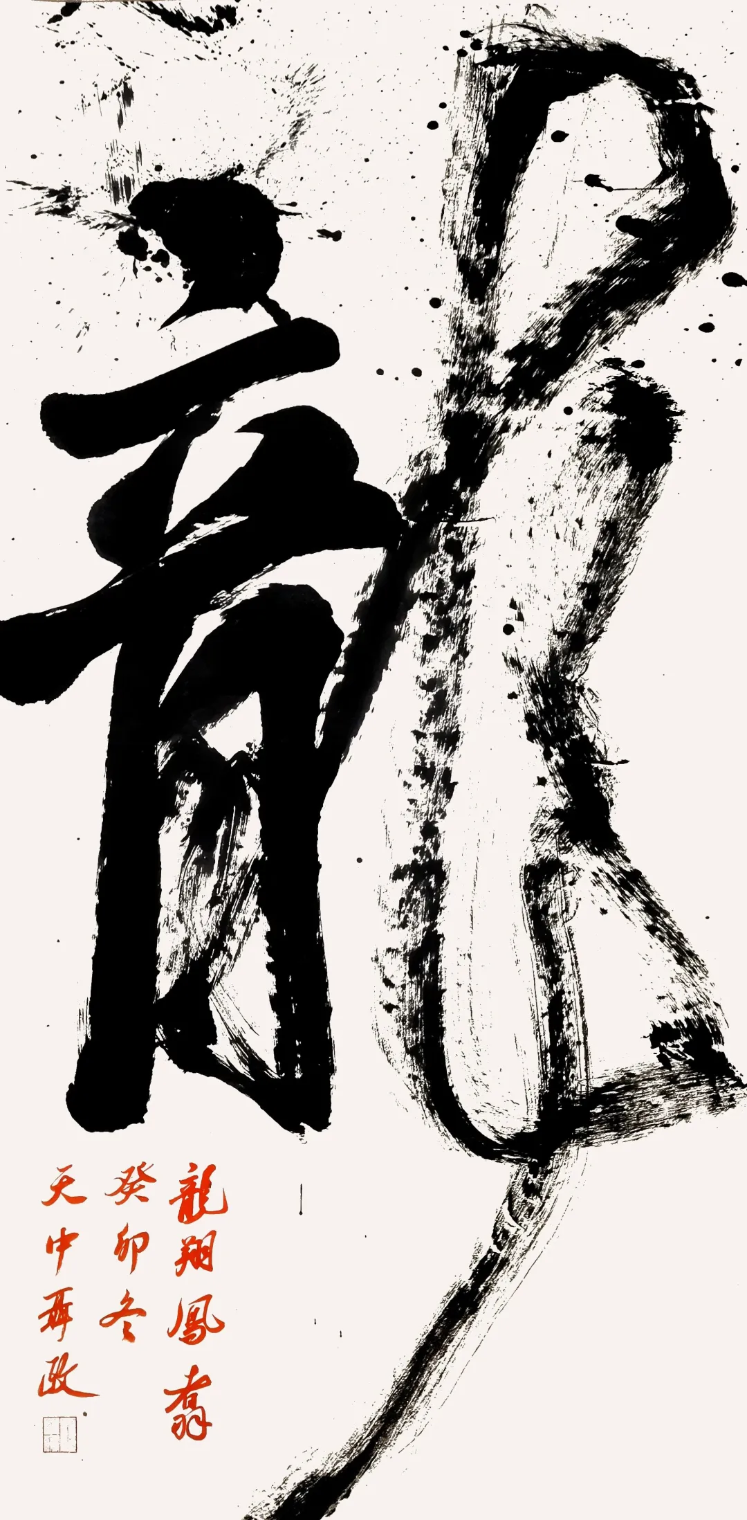 【展訊】“龍翔鳳翥——聶政書法作品展”開展，邀您共賞筆尖風(fēng)雅！