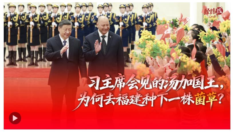 經(jīng)緯線·習(xí)主席會(huì)見的湯加國王，為何去福建種下一株菌草？