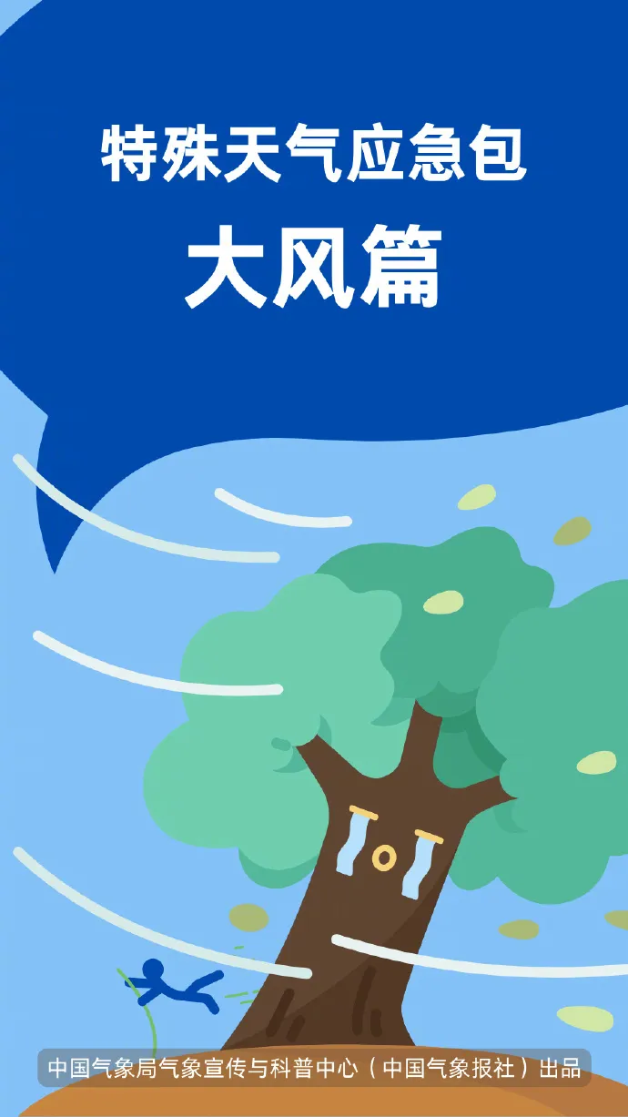 這份大風(fēng)天氣“應(yīng)急包”請(qǐng)收好！