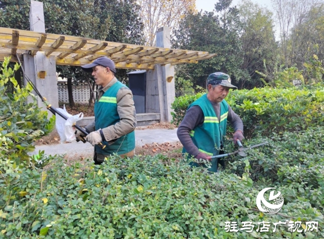 駐馬店：園林精心養(yǎng)護(hù)迎盛會(huì) 滿城綠意笑納八方客