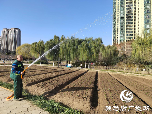 駐馬店：園林精心養(yǎng)護(hù)迎盛會(huì) 滿城綠意笑納八方客