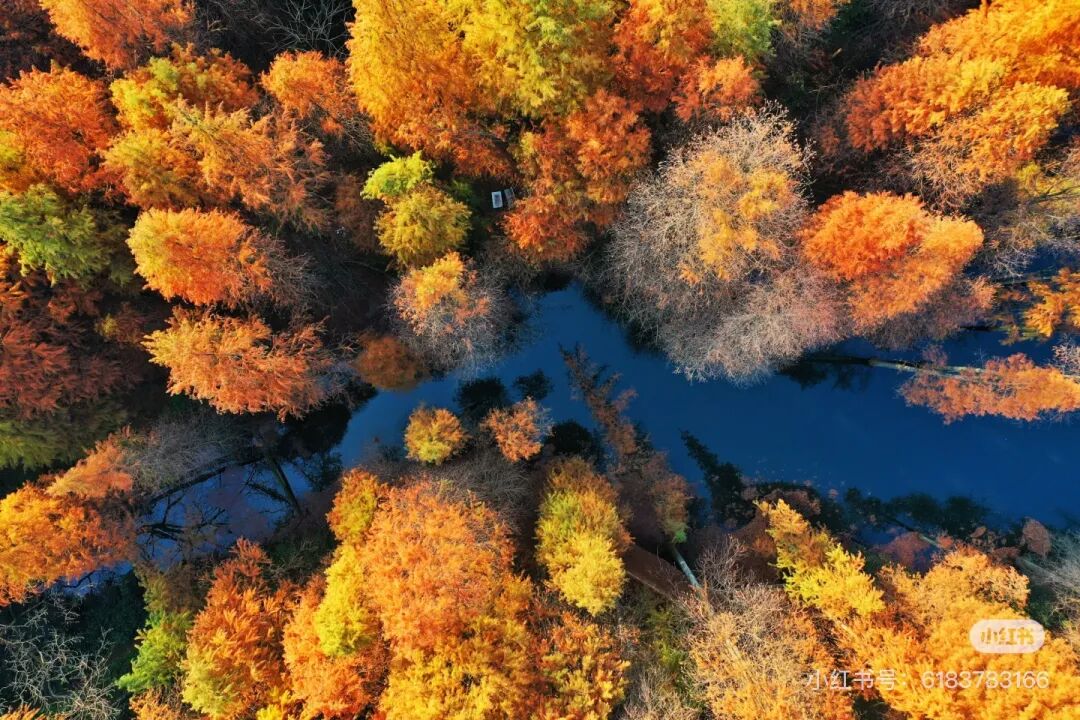 冬日信陽，獨具魅力！