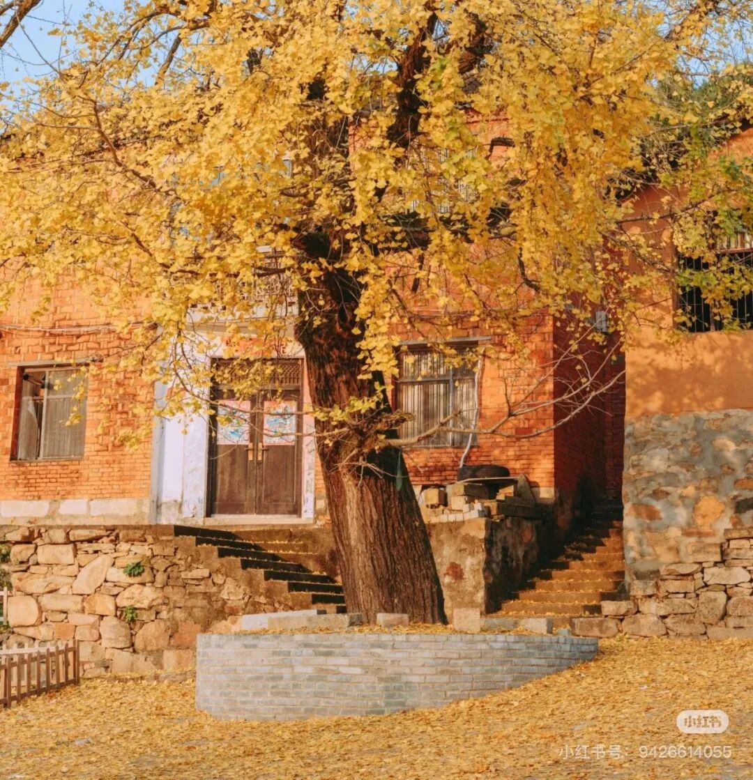 冬日信陽，獨具魅力！