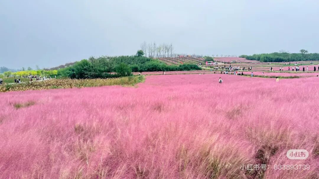冬日信陽，獨具魅力！