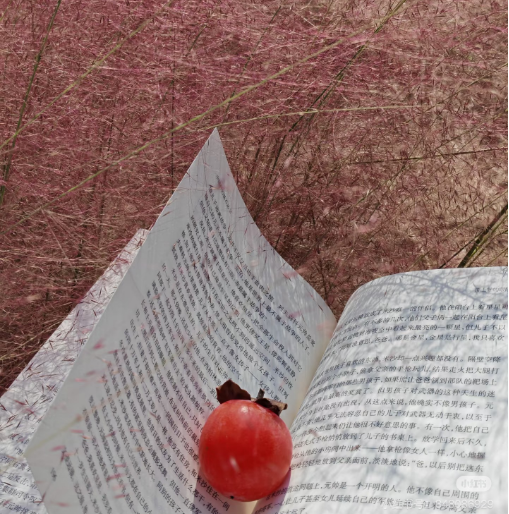 冬日信陽，獨具魅力！