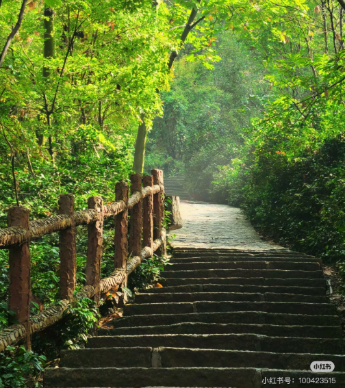 冬日信陽，獨具魅力！