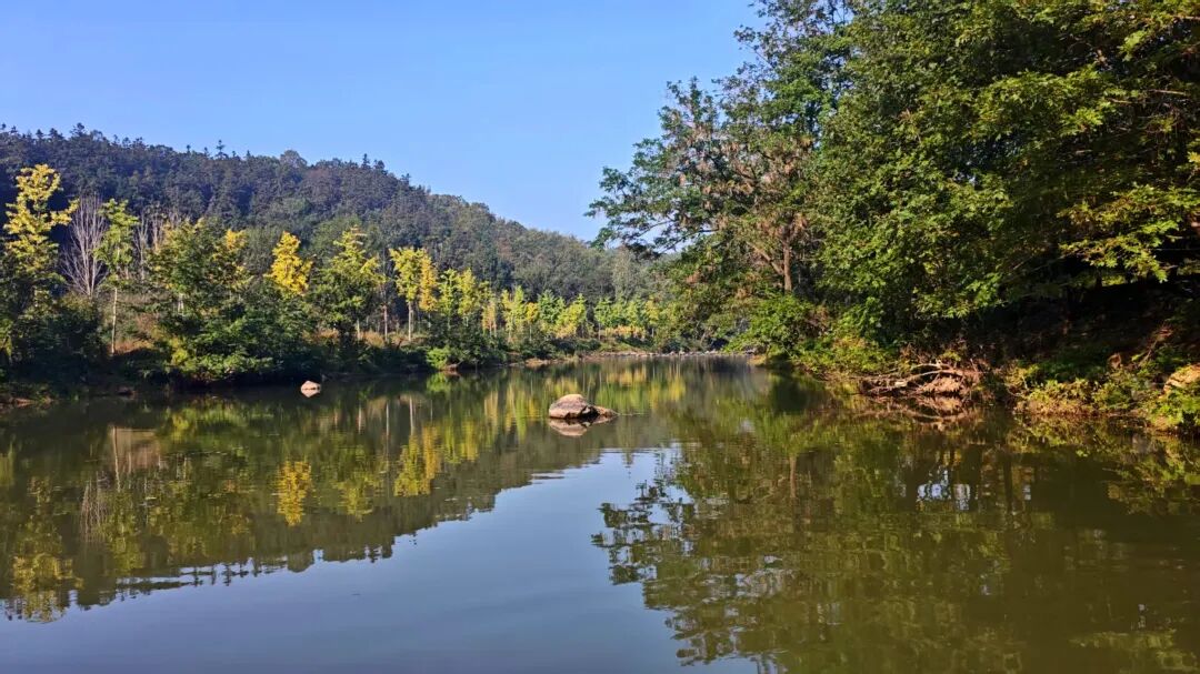 冬日信陽，獨具魅力！