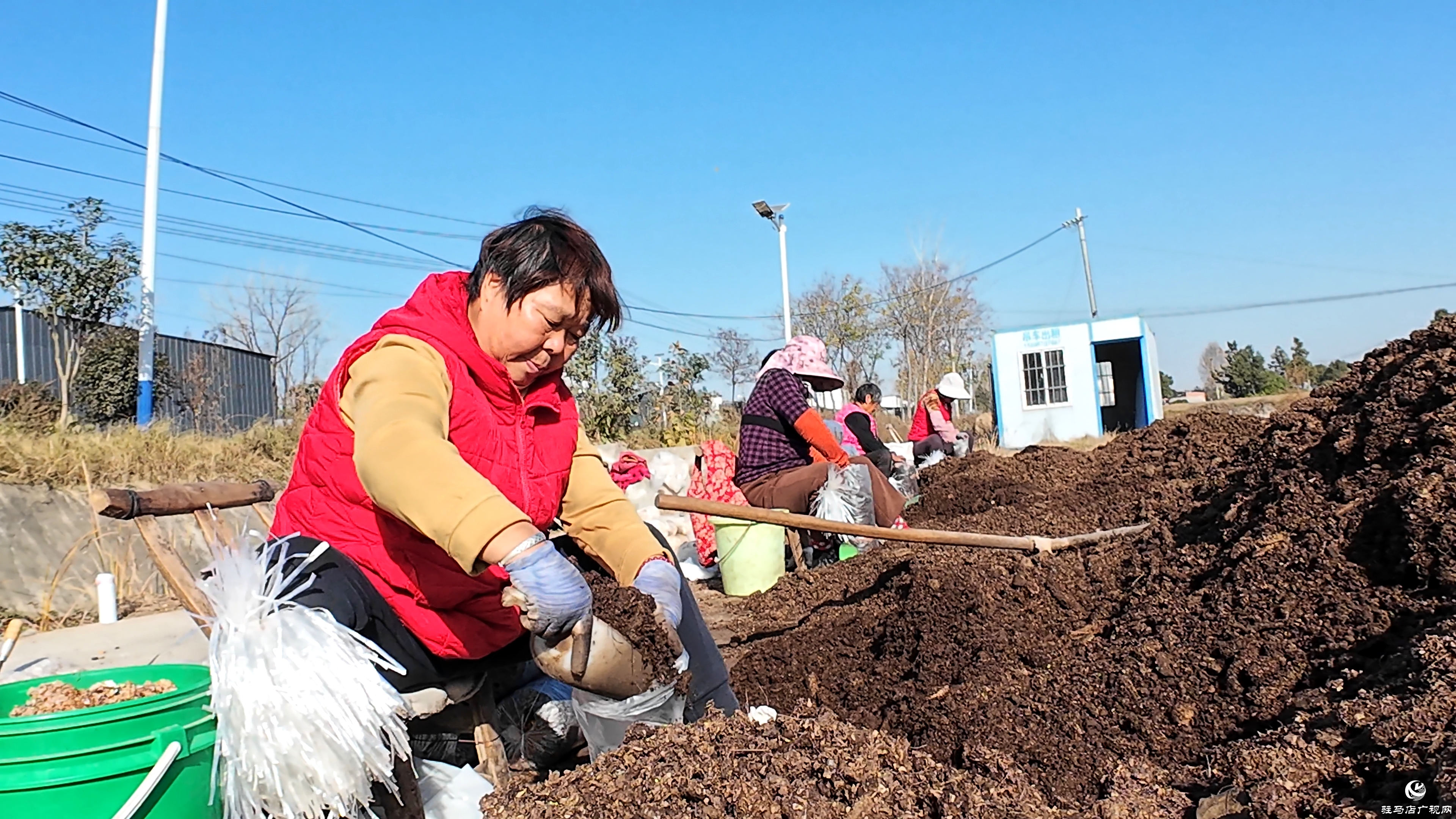 正陽(yáng)縣熊寨鎮(zhèn)毛集村：菌菇撐起“致富傘” 鄉(xiāng)村綻放“幸?；ā? (1)(6).jpg