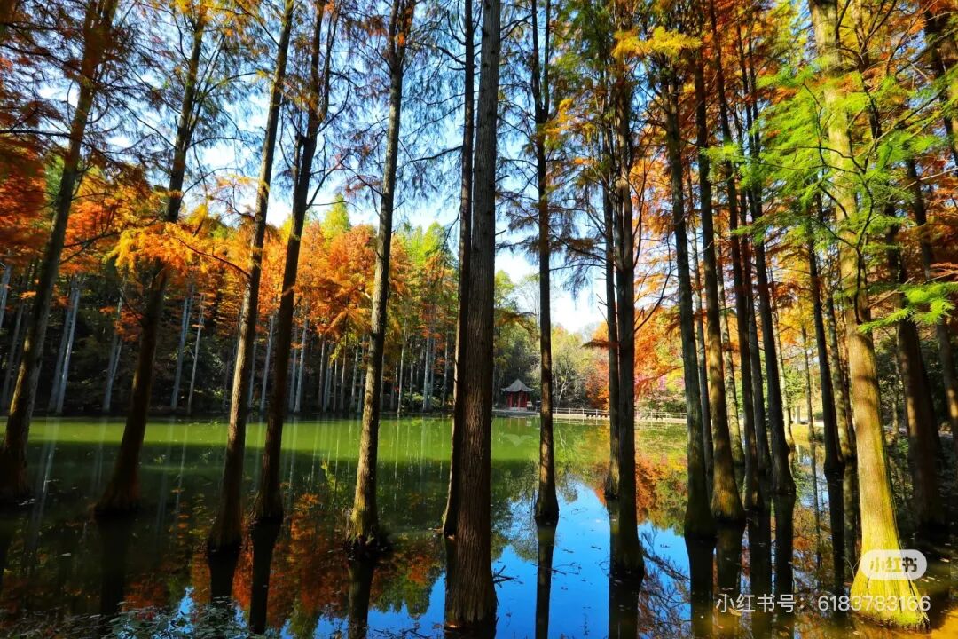 冬日信陽，獨具魅力！