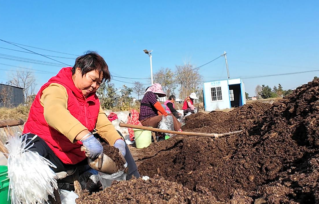 正陽縣熊寨鎮(zhèn)毛集村：菌菇撐起“致富傘” 鄉(xiāng)村綻放“幸?；ā?></a></p>
		                <div   id="kxi9bvwefu"   class=
