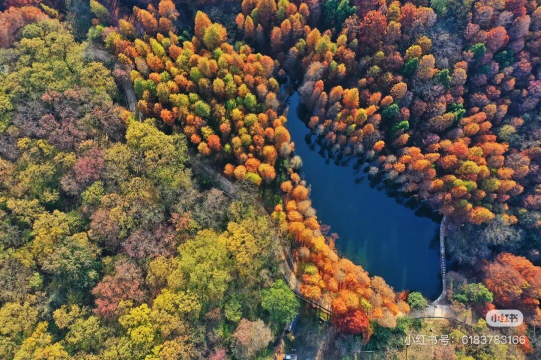 冬日信陽，獨具魅力！