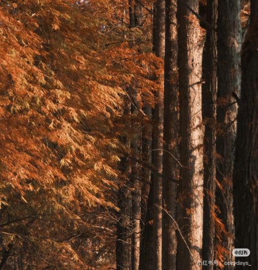 冬日信陽，獨具魅力！