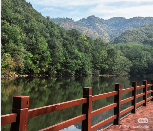 冬日信陽，獨具魅力！