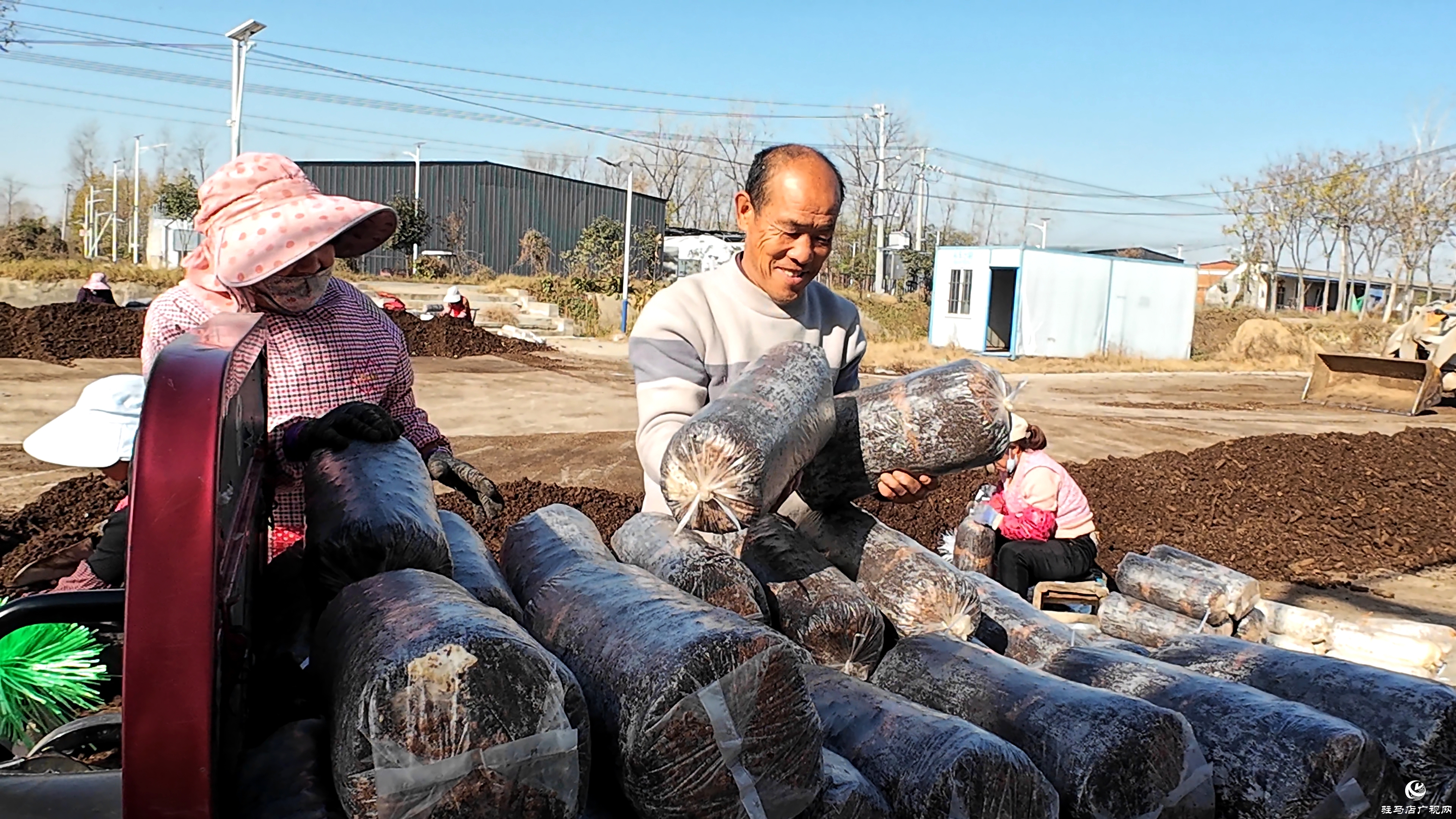 正陽(yáng)縣熊寨鎮(zhèn)毛集村：菌菇撐起“致富傘” 鄉(xiāng)村綻放“幸?；ā? (1)(4).jpg