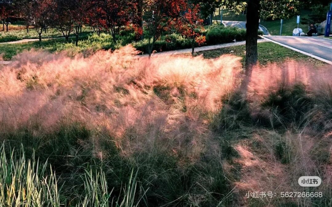 冬日信陽，獨具魅力！