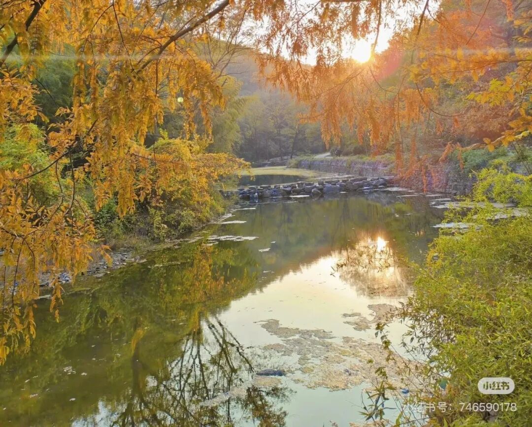 冬日信陽，獨具魅力！
