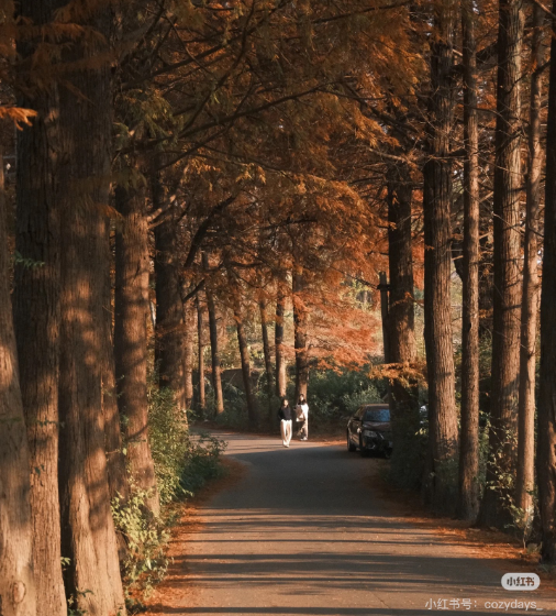 冬日信陽，獨具魅力！