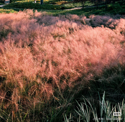 冬日信陽，獨具魅力！