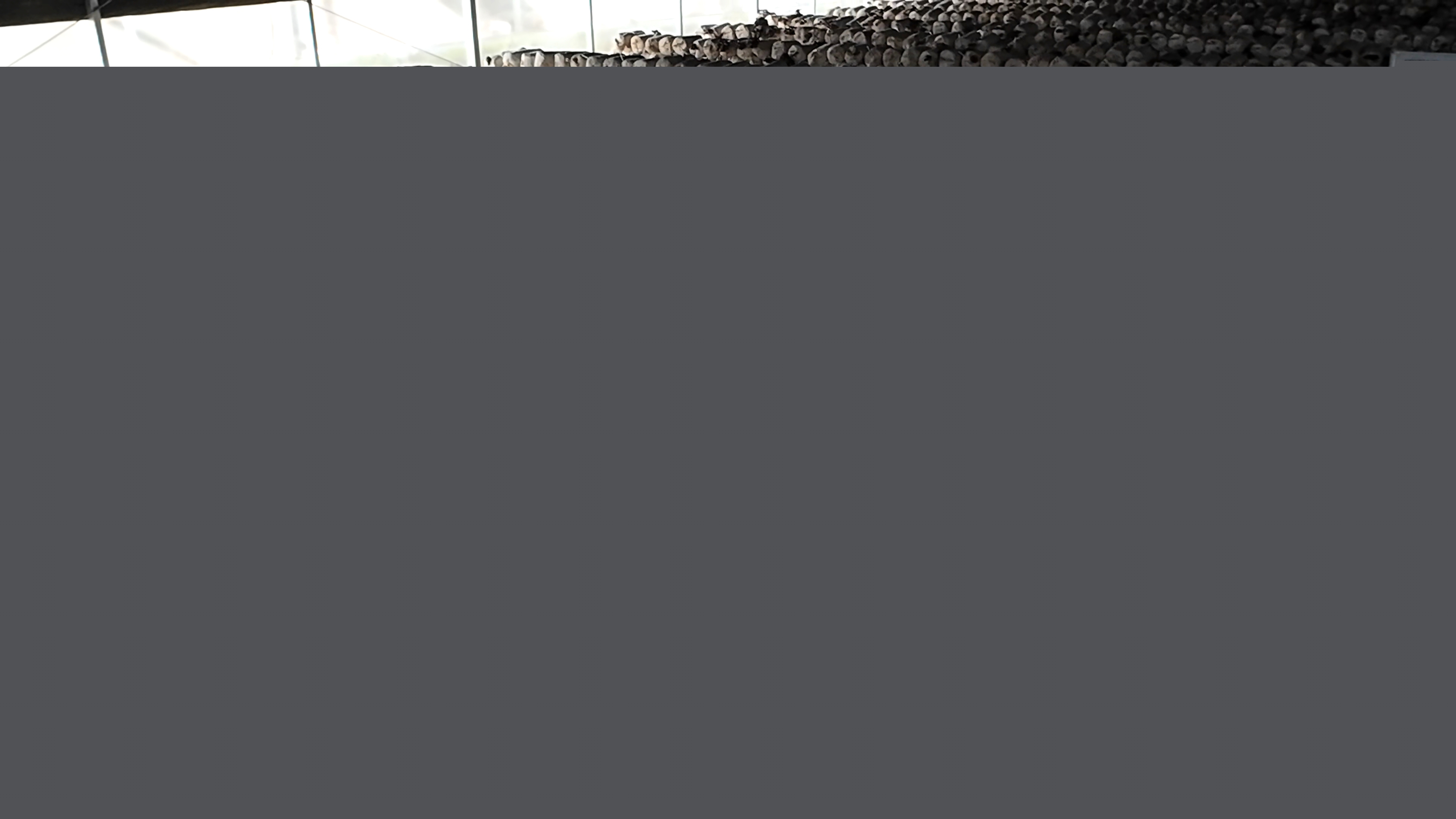 正陽(yáng)縣熊寨鎮(zhèn)毛集村：菌菇撐起“致富傘” 鄉(xiāng)村綻放“幸?；ā? (1)(3).jpg