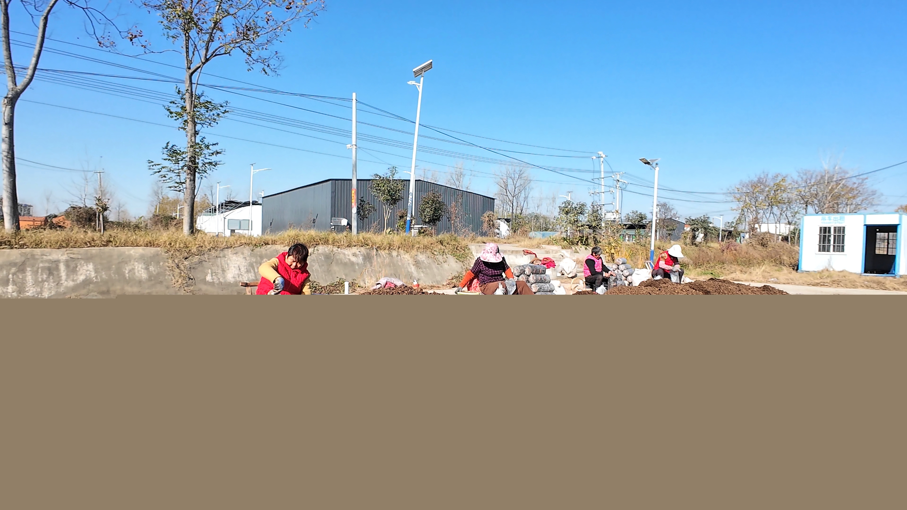 正陽(yáng)縣熊寨鎮(zhèn)毛集村：菌菇撐起“致富傘” 鄉(xiāng)村綻放“幸?；ā? (1).jpg