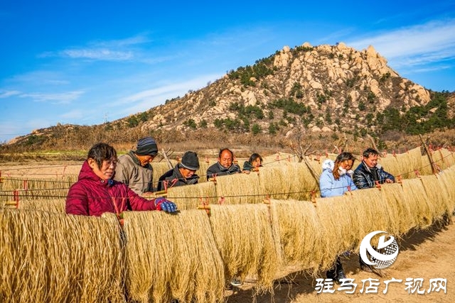 粉條搭起致富橋 ——走進(jìn)駐馬店驛城區(qū)板橋鎮(zhèn)口門村黑石山自然村許學(xué)用的粉條加工點