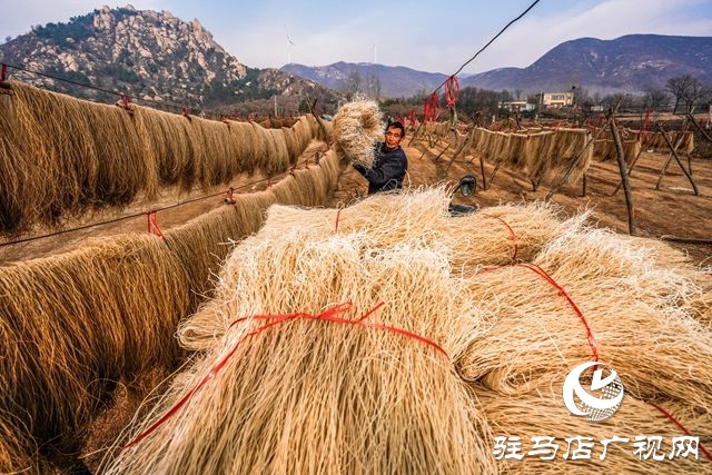 粉條搭起致富橋 ——走進(jìn)駐馬店驛城區(qū)板橋鎮(zhèn)口門村黑石山自然村許學(xué)用的粉條加工點
