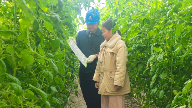 國(guó)網(wǎng)新蔡縣供電公司：電力靠前服務(wù)守護(hù)群眾“菜籃子”