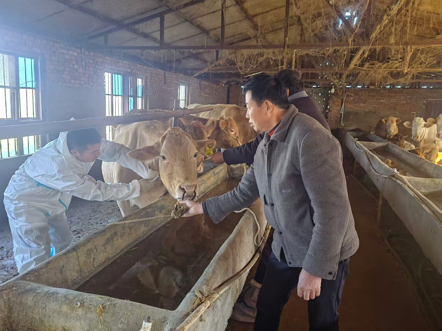 駐馬店市動(dòng)物疫病防疫檢疫中心發(fā)布12月份動(dòng)物疫病預(yù)警預(yù)報(bào)信息