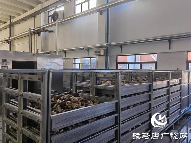 龜鹿藥業(yè)吹響年度目標(biāo)“沖鋒號(hào)”