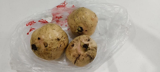 十二載仁心守護(hù)，三顆石榴見(jiàn)證醫(yī)患情深