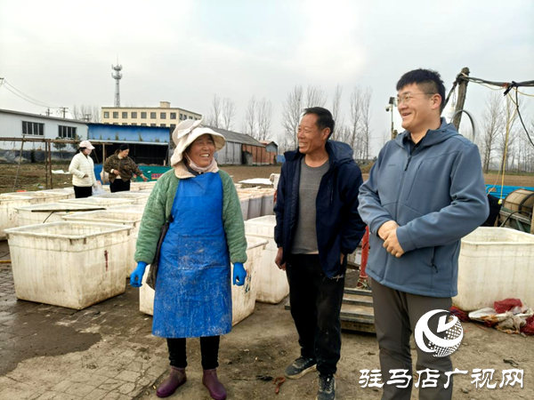 平輿縣郭樓街道前店村：讓鄉(xiāng)村產(chǎn)業(yè)添“薯”光