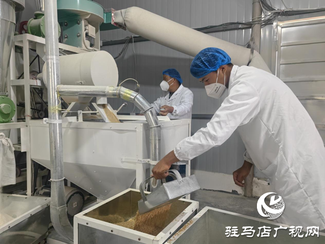 駐馬店市驛城區(qū)：石磨轉(zhuǎn)出新動能 特色產(chǎn)業(yè)繪就鄉(xiāng)村振興新圖景