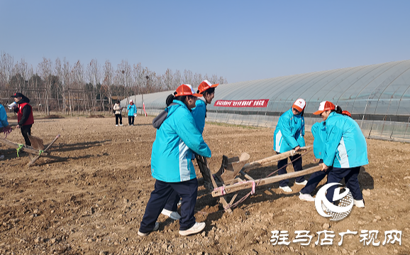 駐馬店市第四中學(xué)開展“徒步鄉(xiāng)野 探秘農(nóng)耕，感悟成長”研學(xué)活動