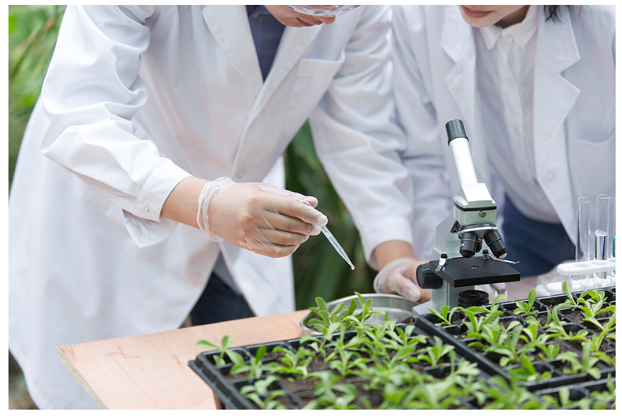 經(jīng)濟(jì)大省挑大梁|河南這樣拼未來(lái)