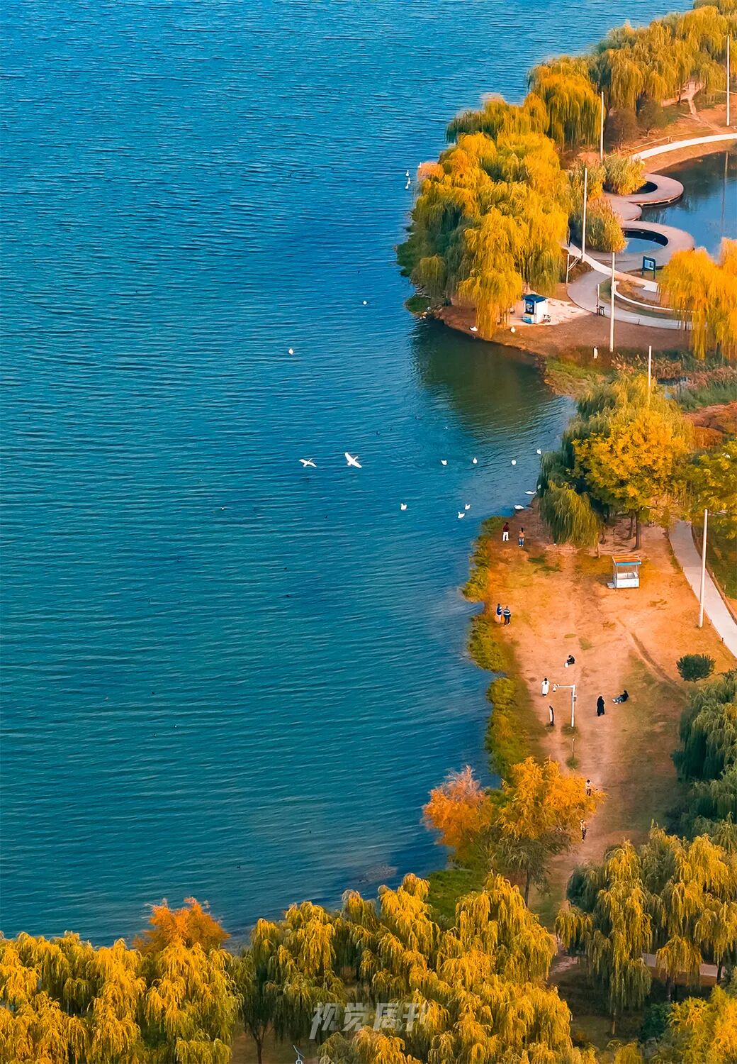 美！河南冬景上新啦