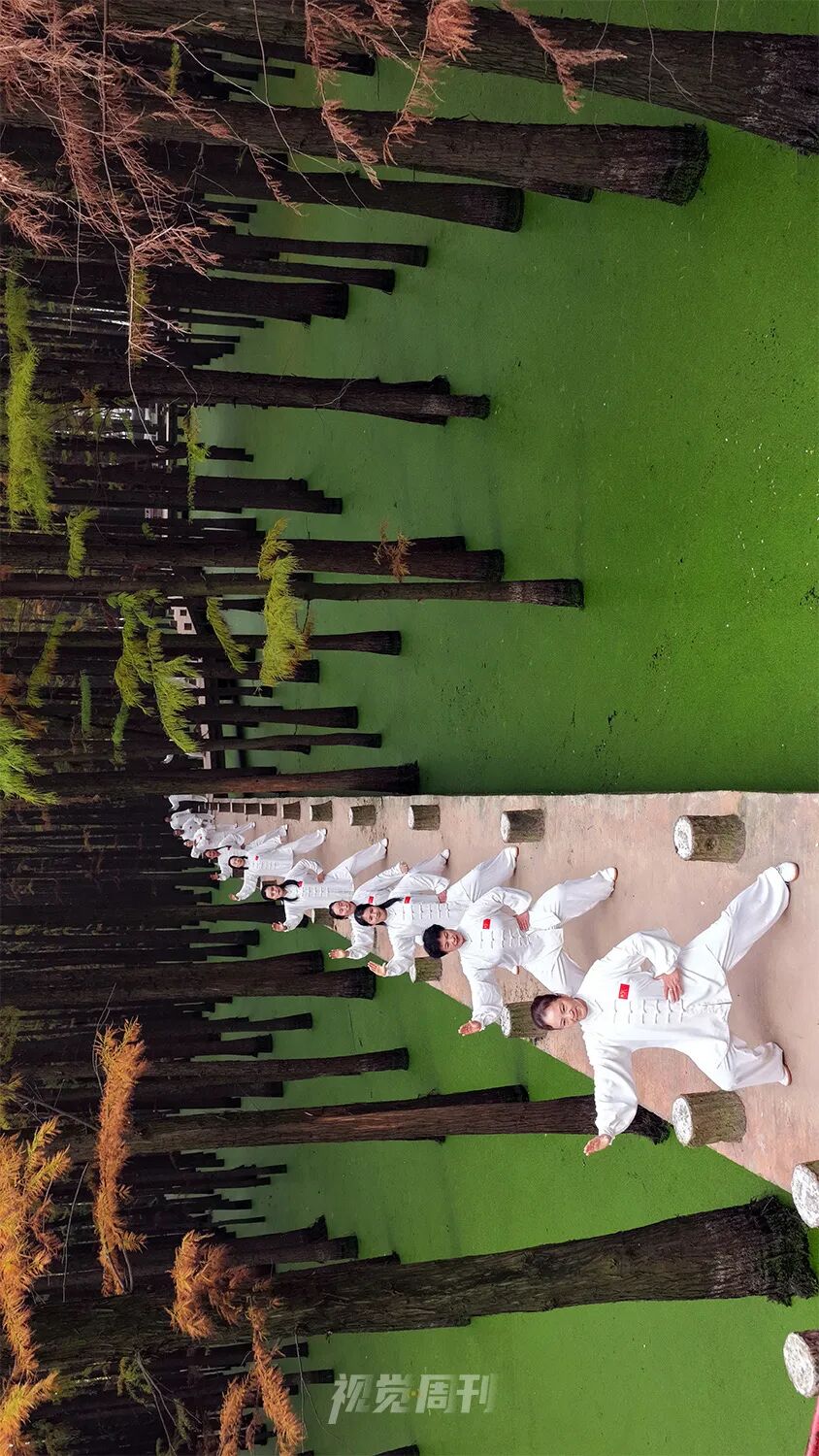 美！河南冬景上新啦