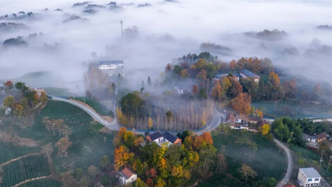 美！河南冬景上新啦