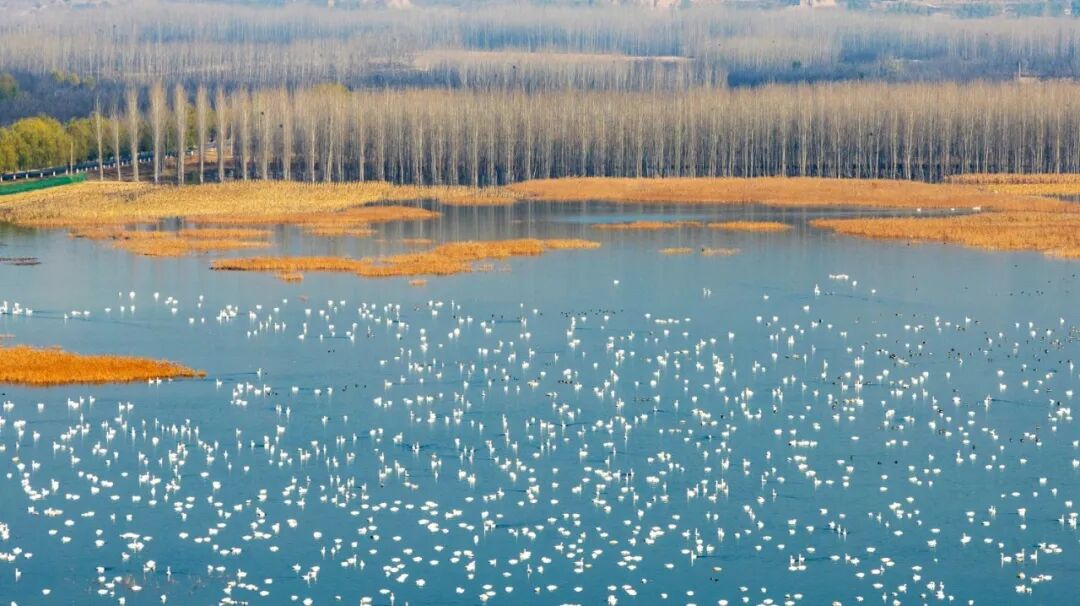 美！河南冬景上新啦